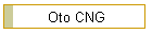 Oto CNG