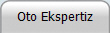 Oto Ekspertiz
